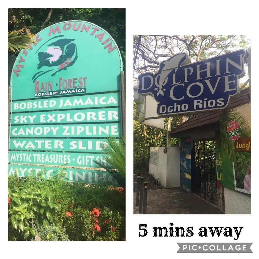 Mystic Ridge Paradise Ocho Rios
